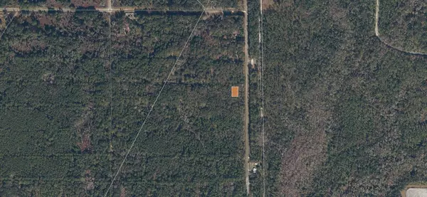 339 Chipola DR, Georgetown, FL 32139