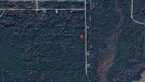 Georgetown, FL 32139,339 Chipola DR