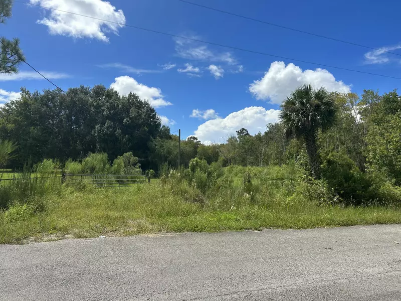 1515 NE 342nd TRL Lot 18, Okeechobee, FL 34972