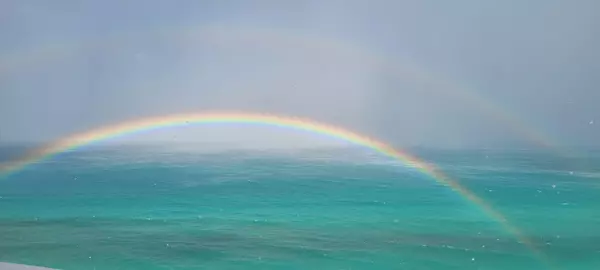 Jensen Beach, FL 34957,9960 S Ocean DR 1402