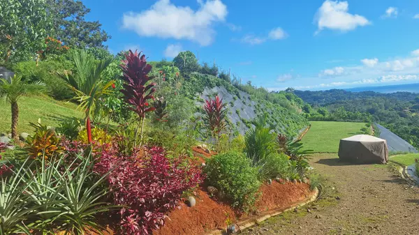 Osa, 00000,0000 Calle Publica