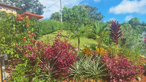 Osa, 00000,0000 Calle Publica