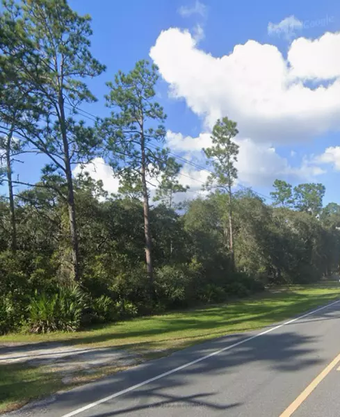 0 NE 315 Hwy, Fort Mccoy, FL 32134