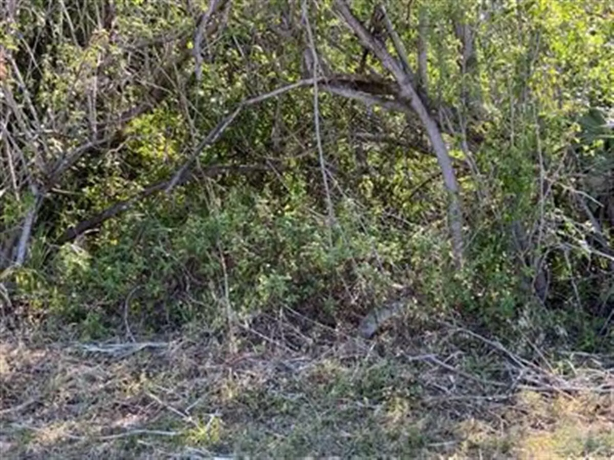 Port Saint Lucie, FL 34953,3965 SW Mccain ST