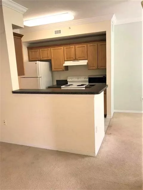 Delray Beach, FL 33446,15015 Michelangelo BLVD 206