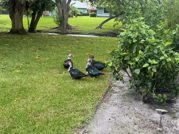 Wellington, FL 33414,13718 Callington DR