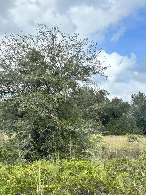 Okeechobee, FL 34972,19933 NW 276th ST