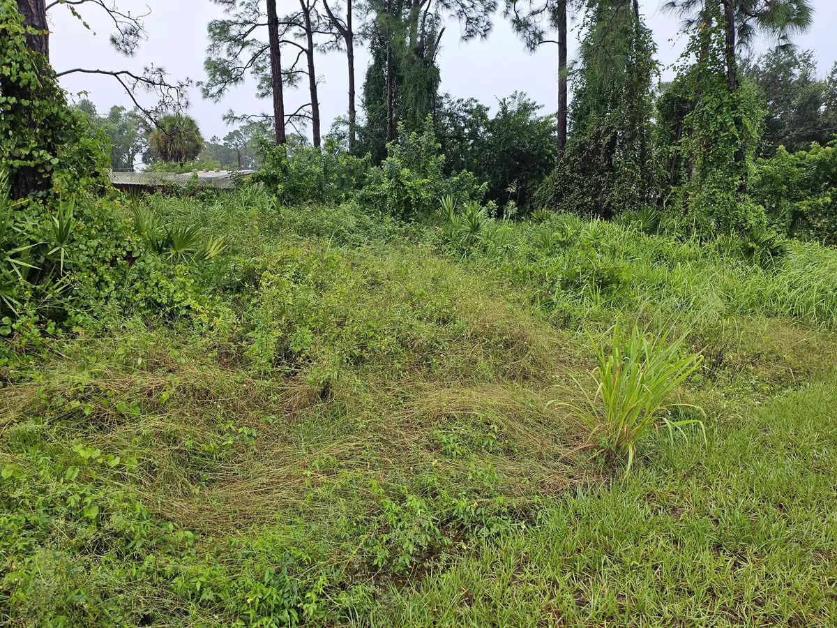 Palm Bay, FL 32907,259 NW Hilliard RD