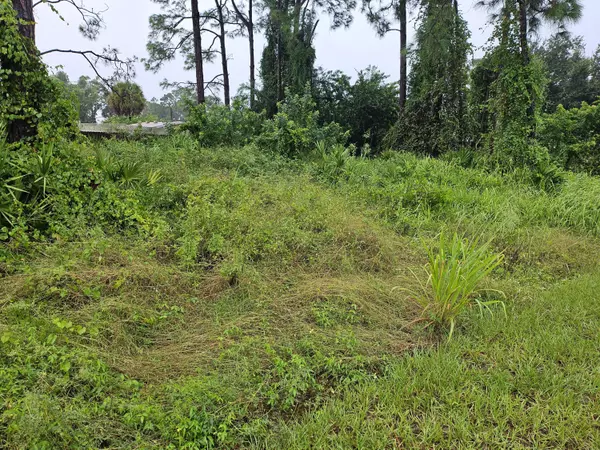 259 NW Hilliard RD, Palm Bay, FL 32907