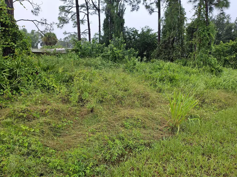 259 NW Hilliard RD, Palm Bay, FL 32907