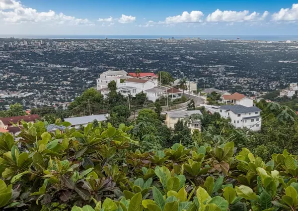 Out Of Country, 00000,7 Kirkland Close, Kingston 19 7