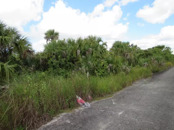Palm Bay, FL 32908,3362 SW Anhinga AVE