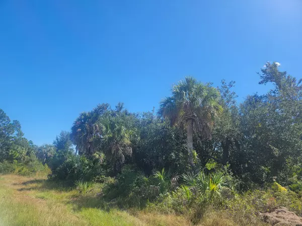 Port Charlotte, FL 33953