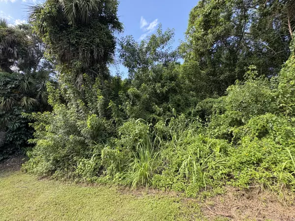 Lakewood Park, FL 34951,Tbd Santa Clara BLVD