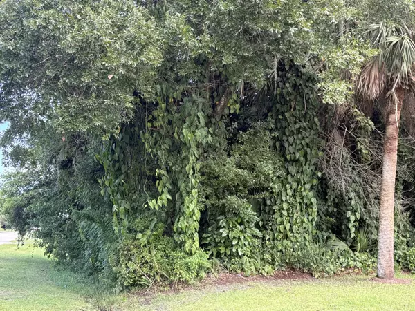 Lakewood Park, FL 34951,Tbd Santa Clara BLVD