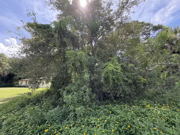 Tbd Santa Clara BLVD, Lakewood Park, FL 34951