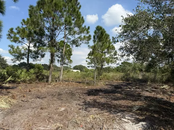 15417 NW 310th ST, Okeechobee, FL 34972