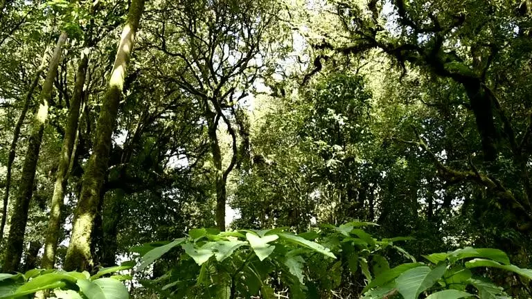 5657 NW Whitecap RD, Port Saint Lucie, FL 34953