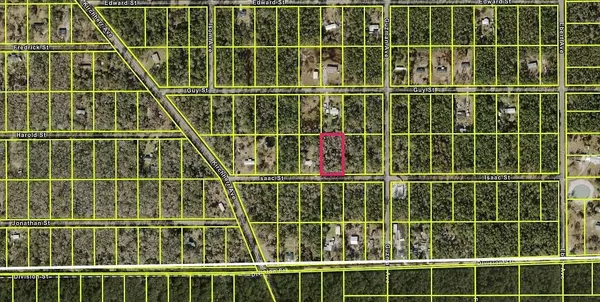 Hastings, FL 32145,4220 Isaac ST