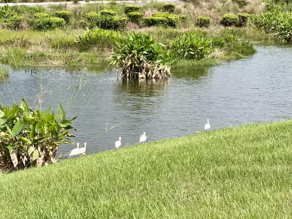 Port Saint Lucie, FL 34984,137 SE Mira Lavella