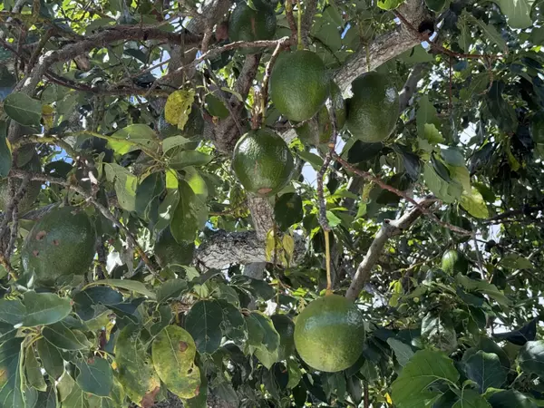 Lake Worth, FL 33462,2623 Northside DR