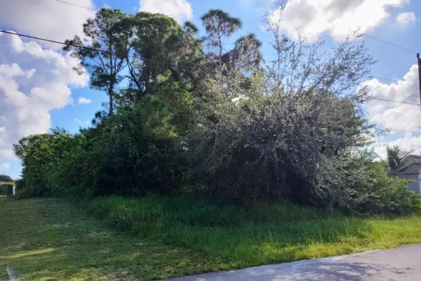 Port Saint Lucie, FL 34953,164 SW South Wakefield CIR