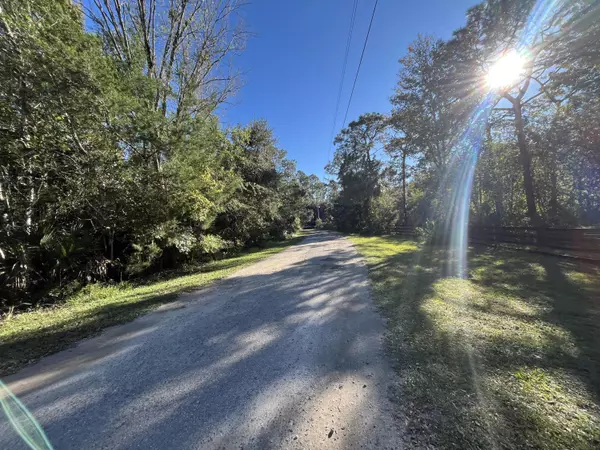 Homosassa, FL 34448,9667 S Lotus PT