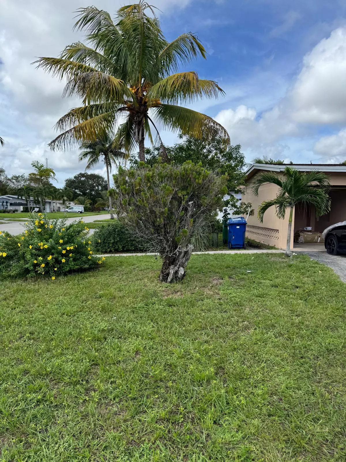 Lauderhill, FL 33313
