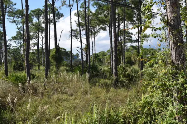 Fort Pierce, FL 34951,0 Tree Top TRL