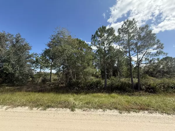 15991 NW 312th ST, Okeechobee, FL 34972