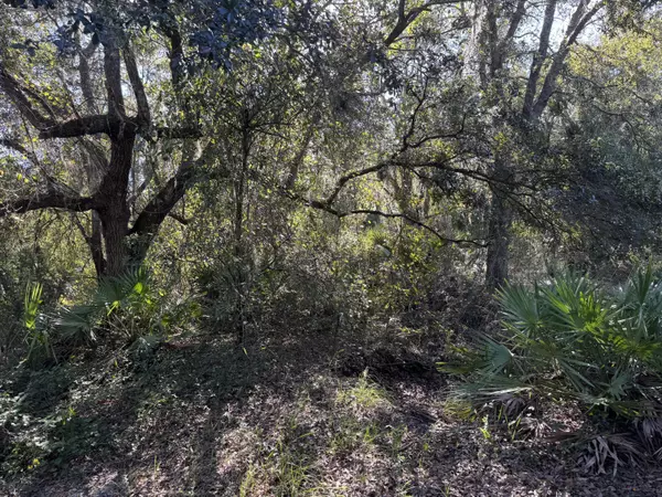 Okeechobee, FL 34972