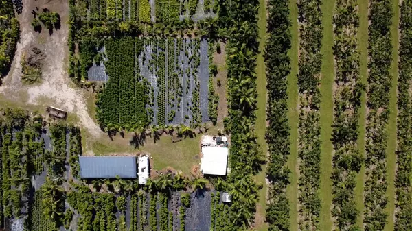 Loxahatchee, FL 33470,6747 W E Carol ST