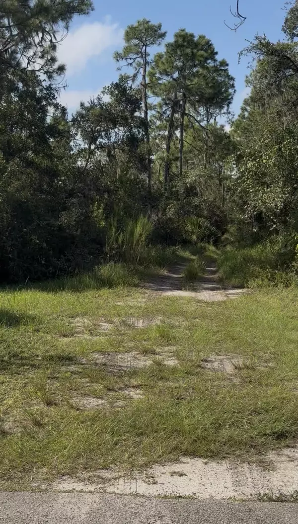 Lake Placid, FL 33852,1505 Rutledge AVE