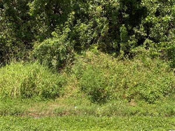 3874 SW Kasin ST, Port Saint Lucie, FL 34953