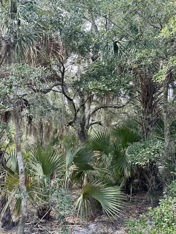 Okeechobee, FL 34974,1701 Cabbage Wood RD