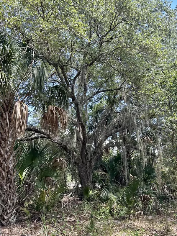 Okeechobee, FL 34974,1701 Cabbage Wood RD