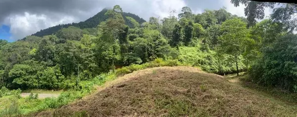 Osa, 00000,38951 Verano