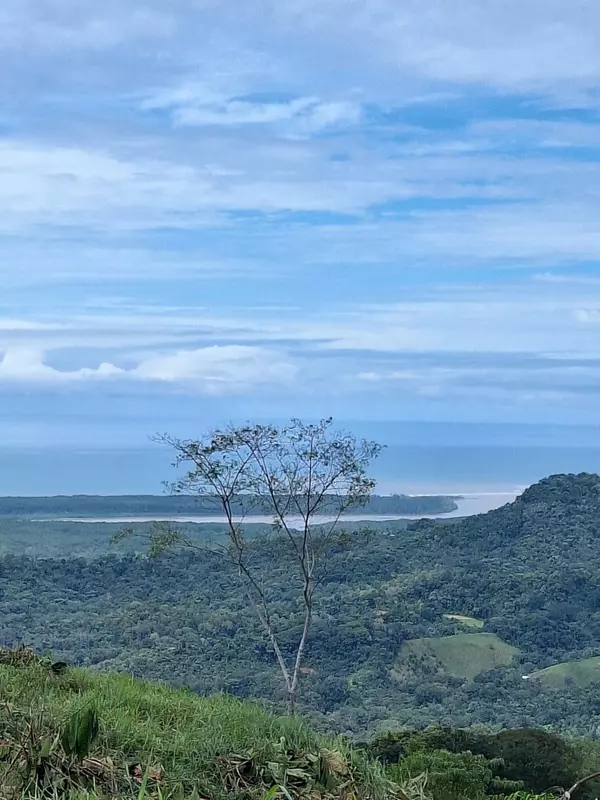 Osa, 00000,177247 Indigo Sky Chontales