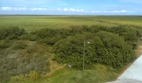 Clewiston, FL 33440,3508 Yucca LN