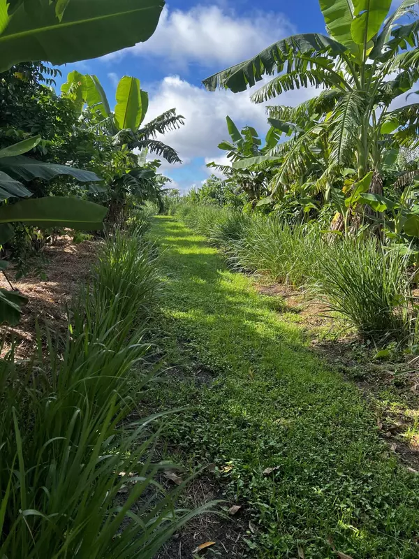 Loxahatchee, FL 33470,20915 Antoinette ST