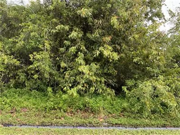 360 SW Undallo RD, Port Saint Lucie, FL 34953