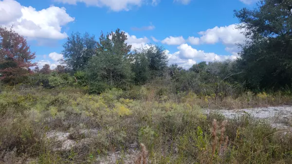 Okeechobee, FL 34972,21321 NW 272nd ST