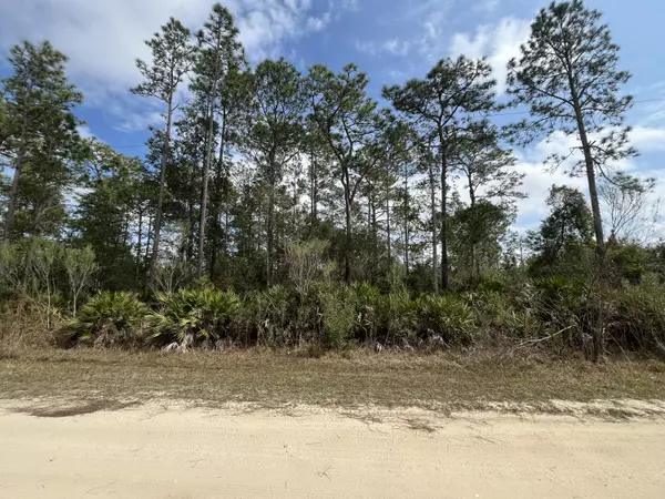 206 Royal AVE, Interlachen, FL 32148