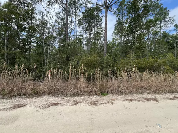 Interlachen, FL 32148,215 Royal AVE