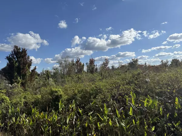 Okeechobee, FL 34972,19624 NW 244th ST