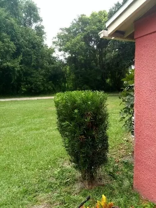 Kissimmee, FL 34744,509 E Magnolia ST