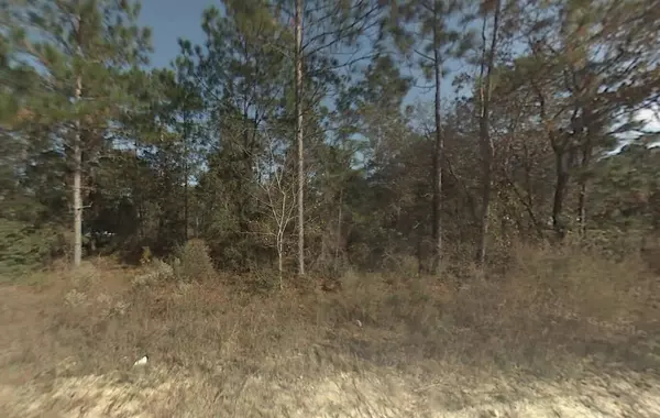 Tbd SW 167th AVE, Ocala, FL 34481
