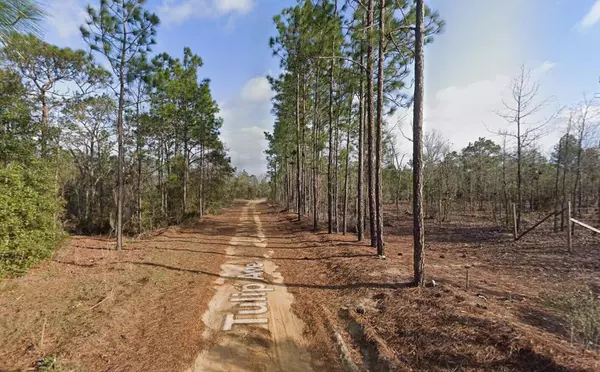 Interlachen, FL 32148,116 Tulip AVE