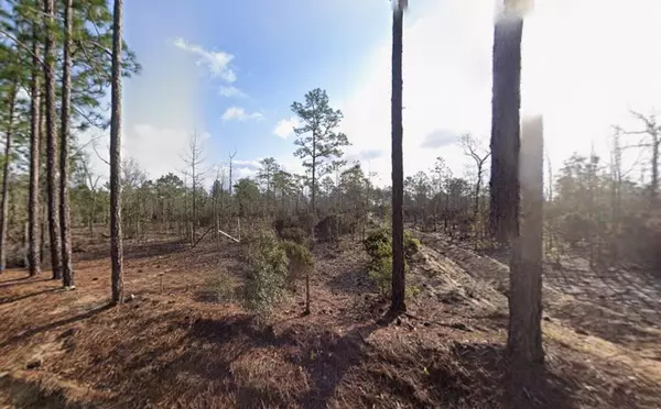 116 Tulip AVE, Interlachen, FL 32148