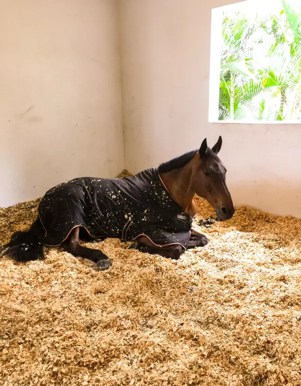 Wellington, FL 33414,3650 Middleburg DR